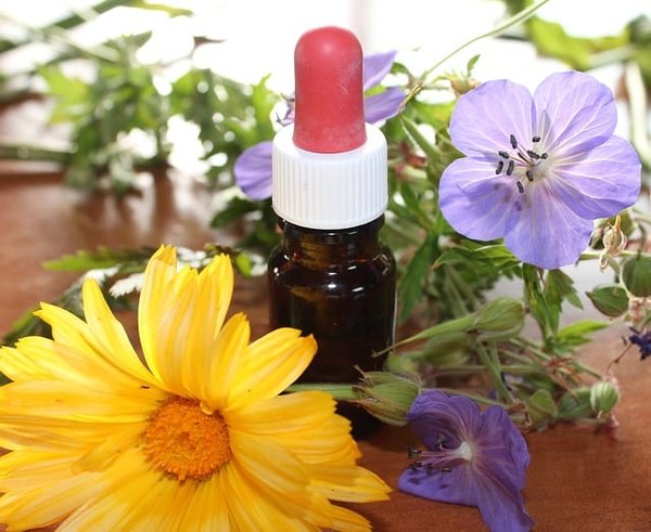 Quels sont les principes de base de la naturopathie ?