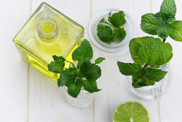 Quels sont les domaines d'application de la naturopathie ?